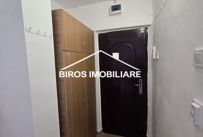 Garsonieră în Valea Rosie