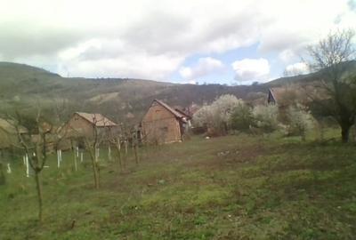 Casă individuală cu 2 camere cu Teren 2000 Mp în Izvoarele (Livezile) - 13