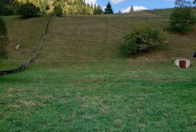 Teren de 1724 mp, în Ortoaia