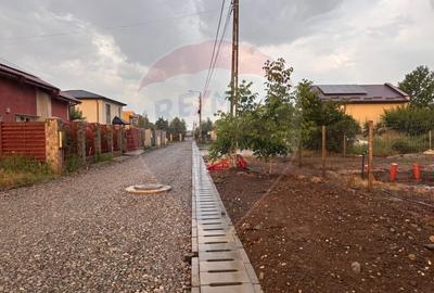 Teren Construcții intravilan de 750 mp, în Domnești - 2