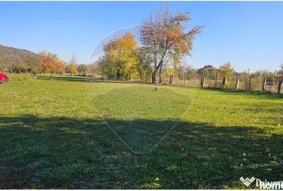 Casă cu 5 camere cu Teren 4242 Mp în Lunca (Vânători-Neamț) - 18