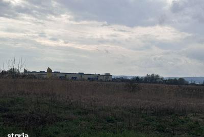 Teren de 26112 mp, în Ernei - 3