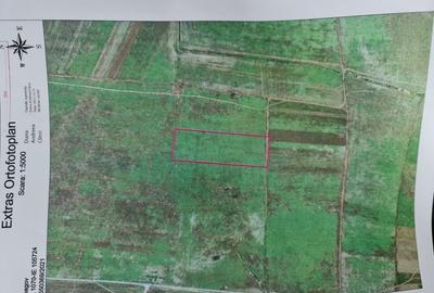Teren agricol extravilan de 50000 mp, în Snagov - 6