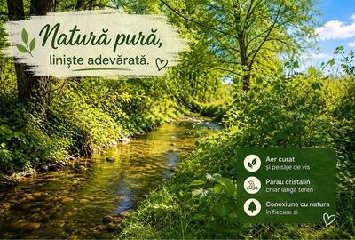 Teren de 4513 mp, în Rugetu (Slătioara) - 1