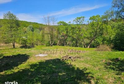 Teren de 3128 mp, în Mărgineni - 2