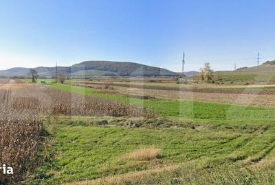 Teren de 5900 mp, în Galații Bistriței