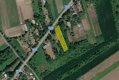 Teren de 900 mp, în Nuci - 4