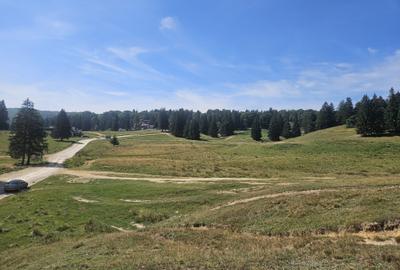 Teren Construcții intravilan de 11500 mp, în Drumul Poienii - 4