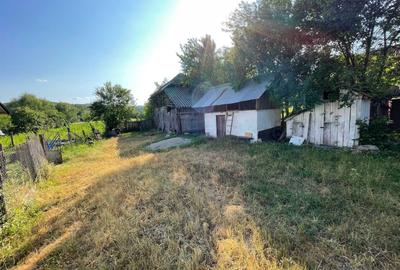 Casă cu 3 camere în Central