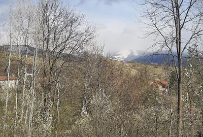 Teren de 900 mp, în Mogoșoaia - 4