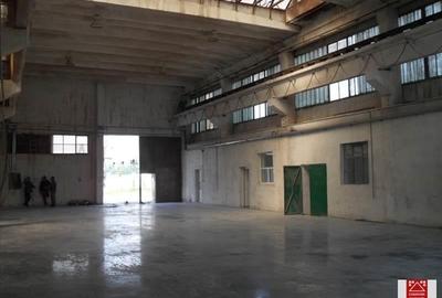 Spațiu industrial, de 7,000 mp, în Sânnicolau Mic - 8