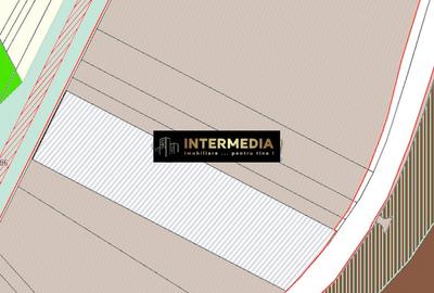 Teren Construcții intravilan de 10800 mp, în Exterior Sud - 2