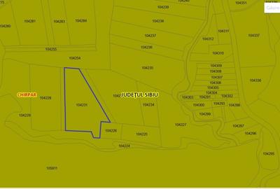 Teren agricol extravilan de 20000 mp, în Chirpăr - 1
