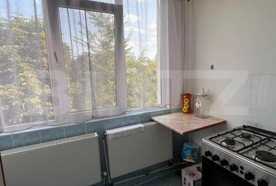 Apartament cu 2 camere decomandat, mobilat în Dacia - 8