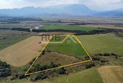 Teren Construcții extravilan de 29300 mp, în Pănicel - 2