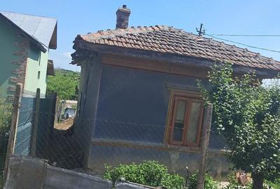 Casă cu 3 camere cu Teren 2000 Mp în Hotarele - 10
