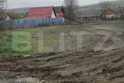 Teren de 3000 mp, în Batoș