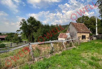 Casă individuală cu 2 camere cu Teren 537 Mp în Boroșneu Mare - 8
