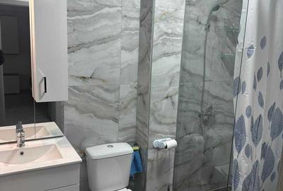 Apartament cu 2 camere decomandat în Craiovița Nouă - 2