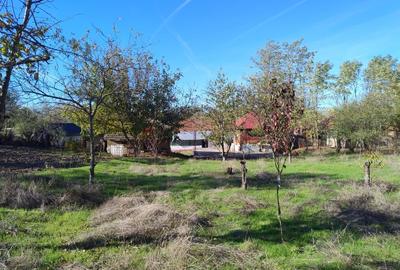 Casă cu 5 camere cu Teren 1100 Mp în Central
