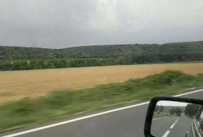 Teren de 1330 mp, în Răzoarele - 3
