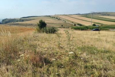 Teren de 5000 mp, în Tureni - 6