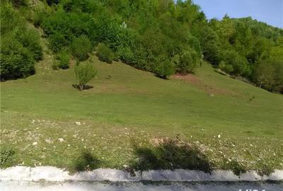 Teren de 5500 mp, în Pietroasa - 7