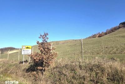 Teren de 5281 mp, în Recea-Cristur