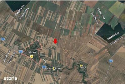 Teren de 5000 mp, în Sârbeni