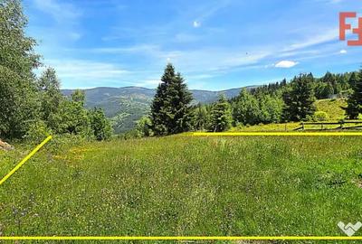 Teren în Albac