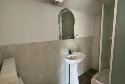Casă cu 8 camere cu Teren 1794 Mp în Negoiești