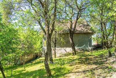 Casă cu Teren 1368 Mp în Livada (Petreștii de Jos) - 13