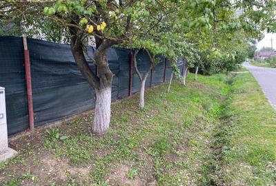 Casă cu 3 camere cu Teren 1000 Mp în Răcari - 5
