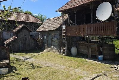 Casă cu Teren 8000 Mp în Dealu Mare (Galicea)