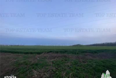 Teren de 15000 mp, în Central - 1