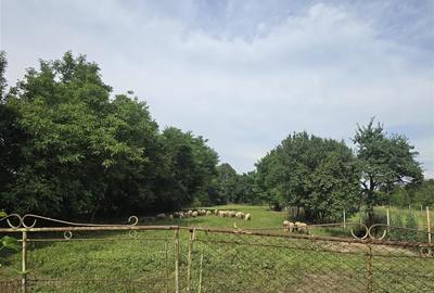 Casă individuală cu 4 camere cu Canalizare în Ucea de Jos - 4