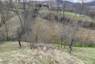 Teren de 2300 mp, în Secăria - 3