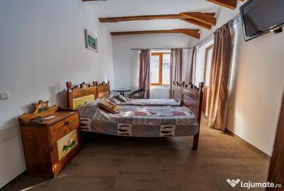 Casă cu 2 camere cu Teren 1215 Mp în Turcheș - 5