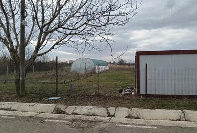 Teren de 2500 mp, în Romanu - 3