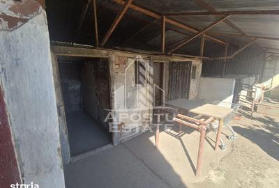 Casă cu 5 camere cu Teren 719 Mp în Periam - 5