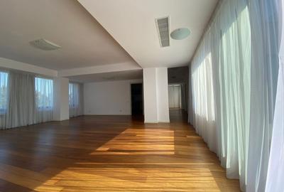 Penthouse cu 3 camere, mobilat în Kiseleff - 5
