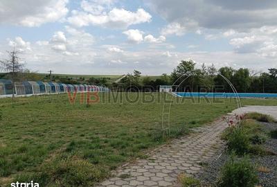 Spațiu comercial, de 2,000 mp, în Orțișoara - 3