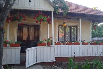 Casă cu 3 camere cu Teren 6300 Mp în Frumușica