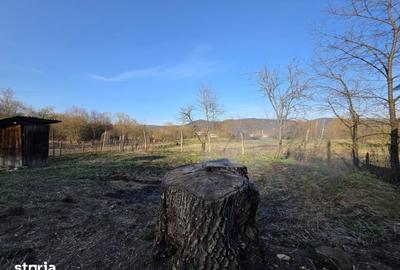 Casă cu 4 camere cu Teren 1887 Mp în Burjuc - 3