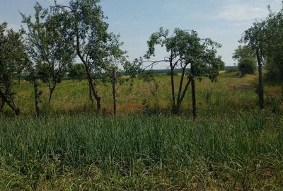 Casă cu Teren 7000 Mp în Săbiești - 5