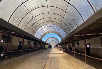 Proprietate specială, de 370,000 mp, în Cotorca - 1