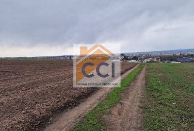 Teren agricol intravilan de 10000 mp, în Vest - 3