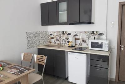 Apartament cu 2 camere decomandat în Nord - 5