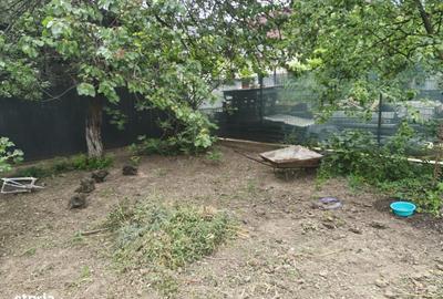 Casă cu 3 camere cu Teren 540 Mp în Bujac