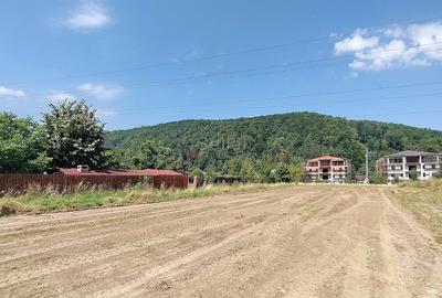 Teren Construcții intravilan de 1000 mp, în Bunloc - 5
